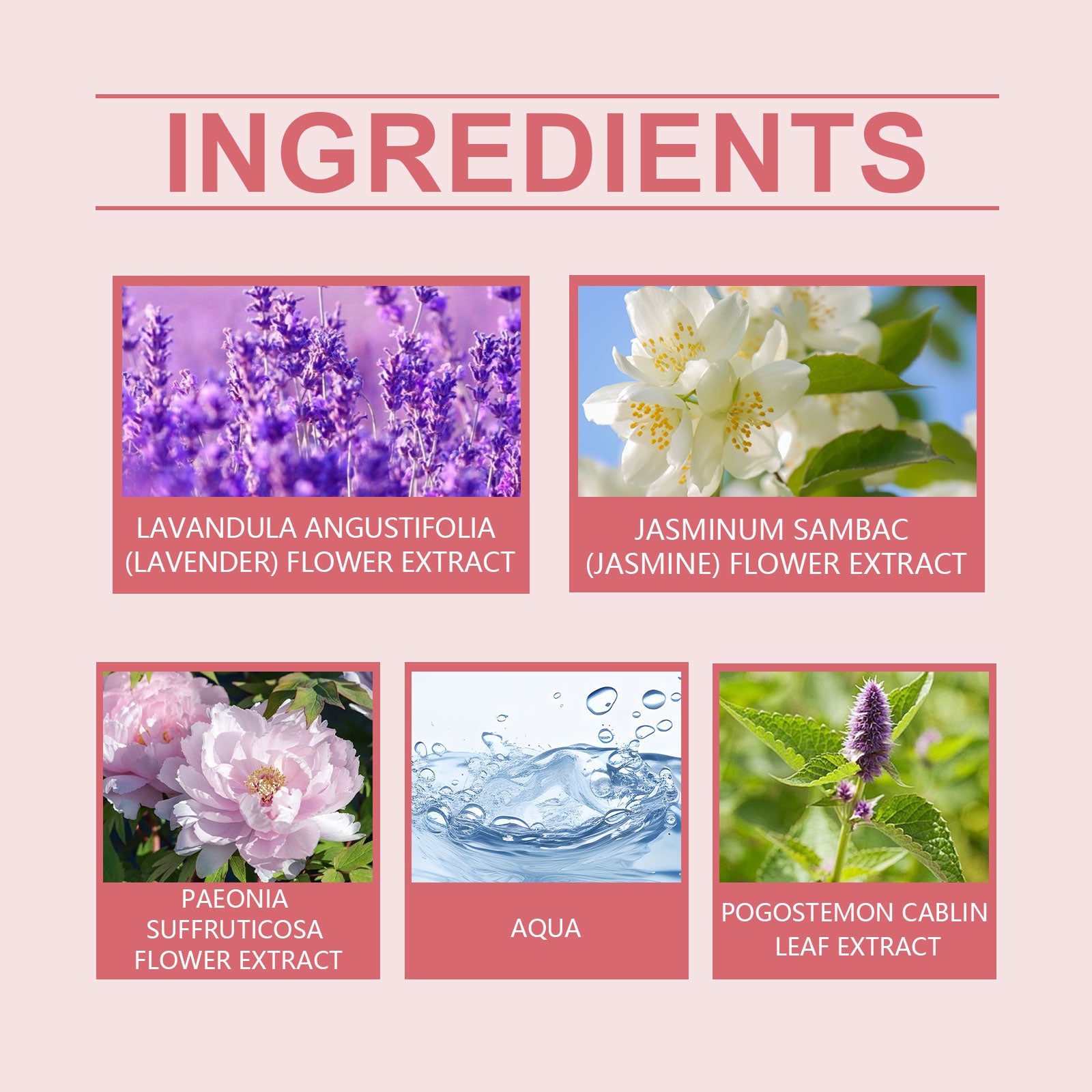 Roxelis Peony Fragrance Eternal Perfume Natural Fragrance Release Charm Lasting Fragrance Light Elegant Charm Dating Atmosphere Perfume