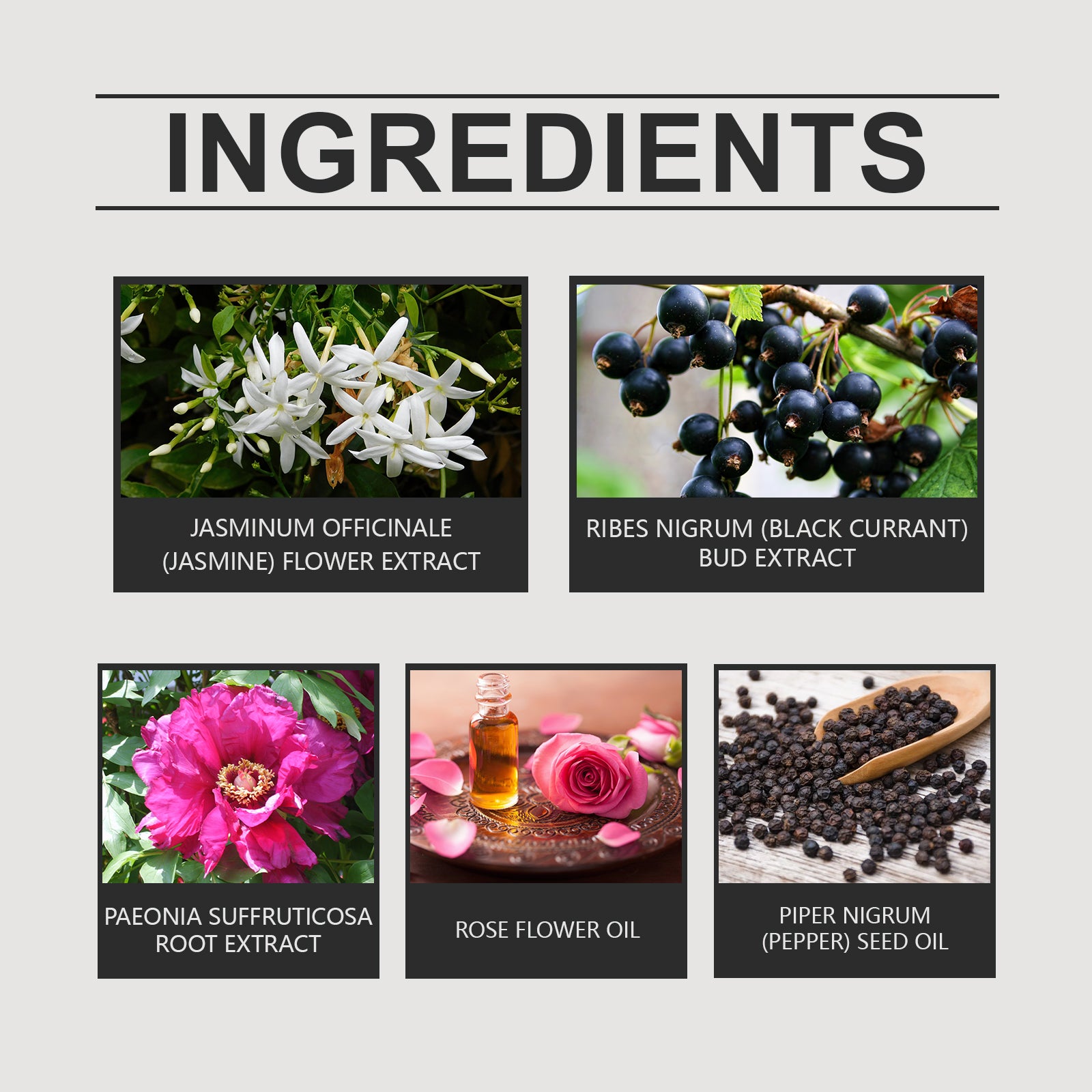 Roxelis Charm Floral Drops With A Natural, Fresh, Elegant And Long-Lasting Fragrance That Exudes Personality And Charm
