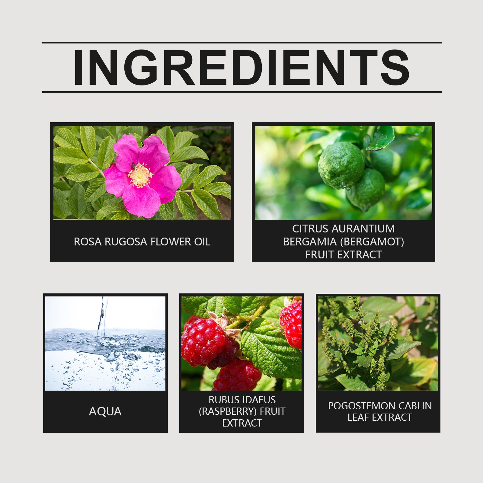 Roxelis Bergamot Light Perfume Spray, Niche Fragrance Fresh And Natural Fruit Fragrance Long-Lasting Portable Spray Perfume