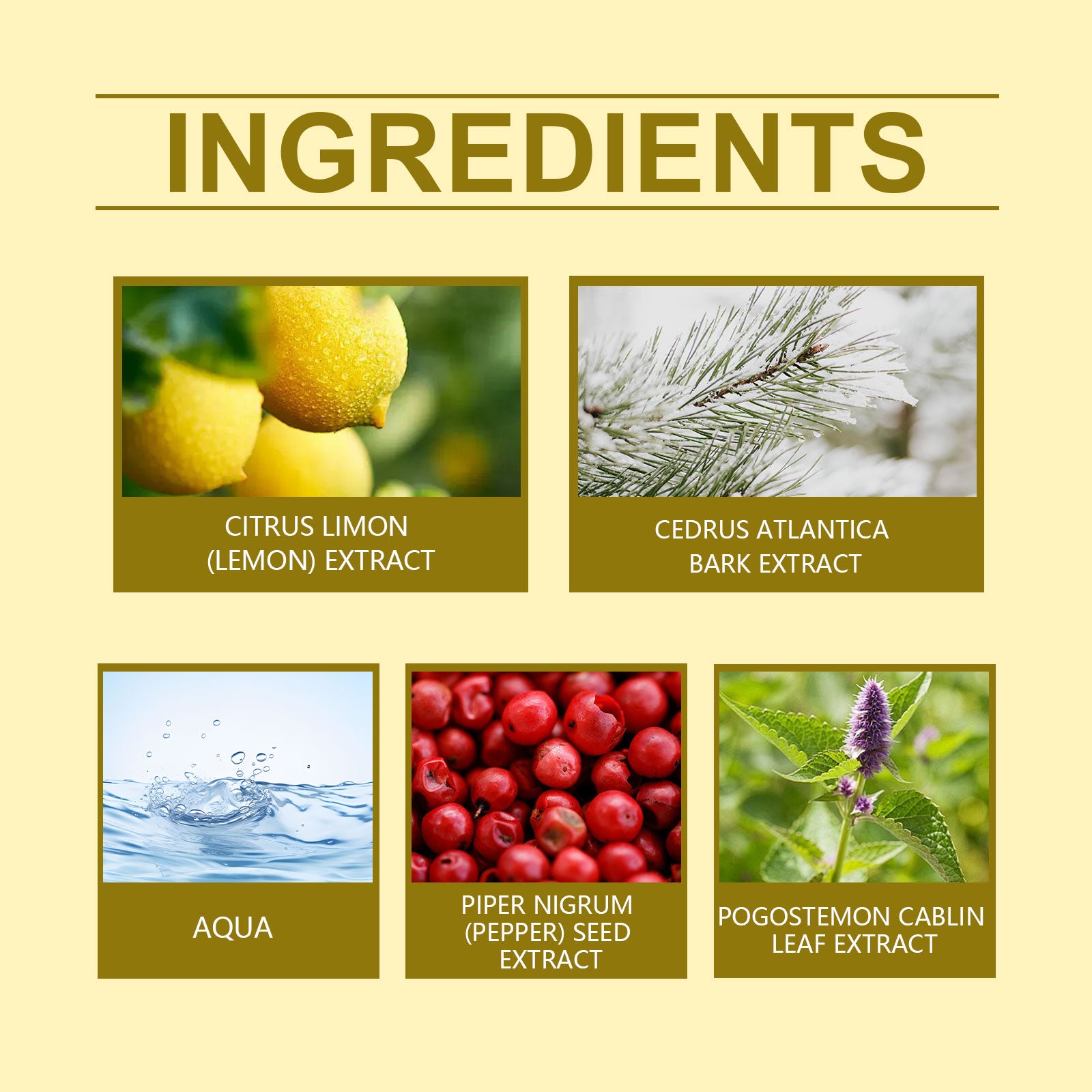 Roxelis Lemon Fresh Yellow Perfume, Fresh Light Charming Charm Perfume Pheromone Fragrance Small Fruit Scent Perfume