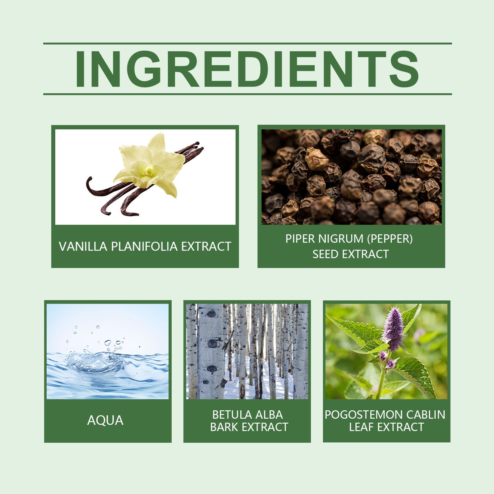 Roxelis Birch Vanilla Unique Fragrance Date Charm Perfume Birch Vanilla Light Fragrance Elegant Charming Portable Perfume