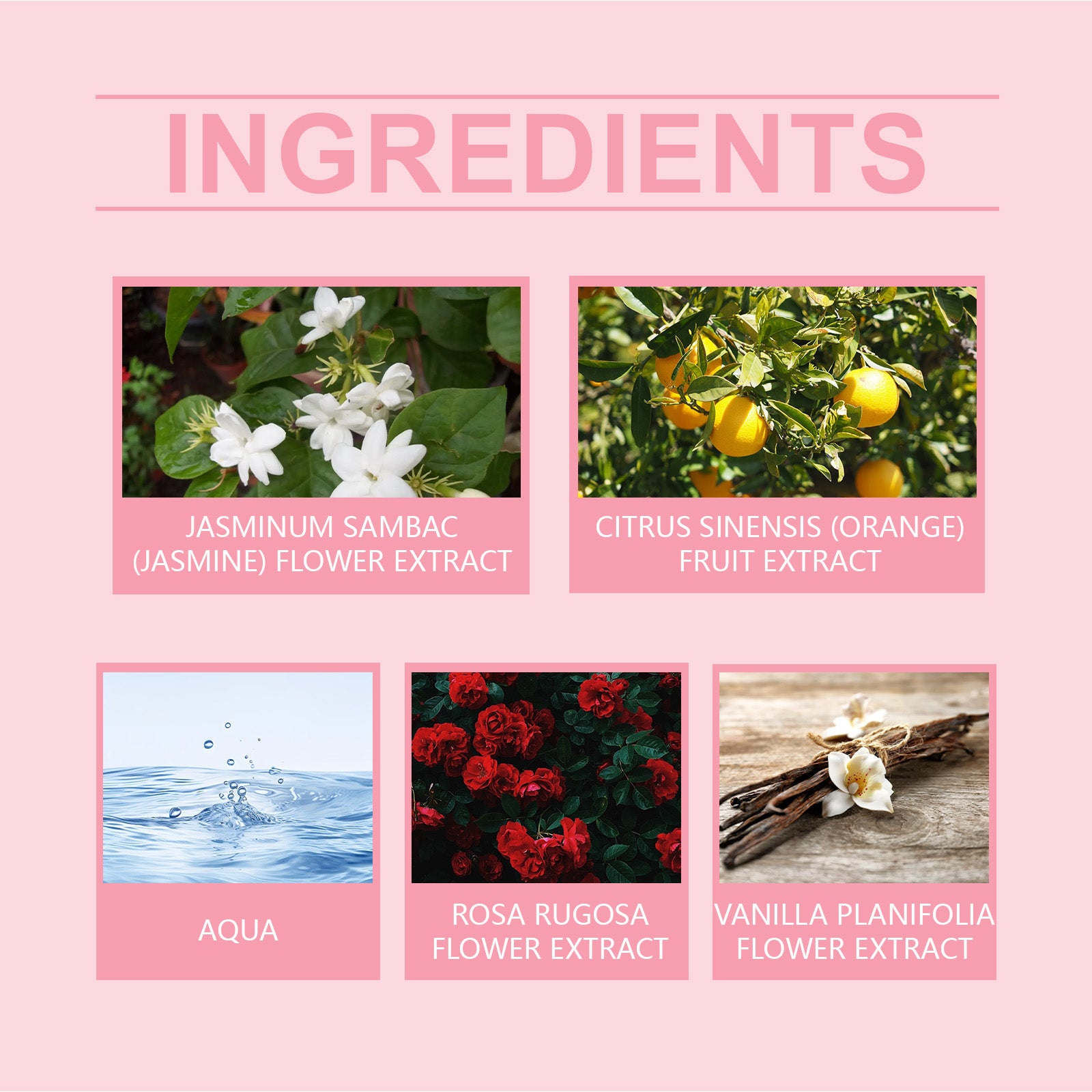 Roxelis Rose Elegant Roll-On Perfume Women's Wrist Long-Lasting Light Fragrance Fresh Floral Roses Keep Perfume Perfume