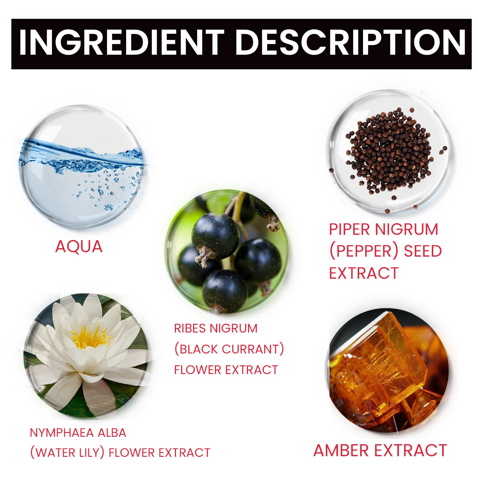 Roxelis Magnet Pheromone, Lasting Fragrance Elegant Natural Fragrance Not Pungent Women's Charm Dating Perfume